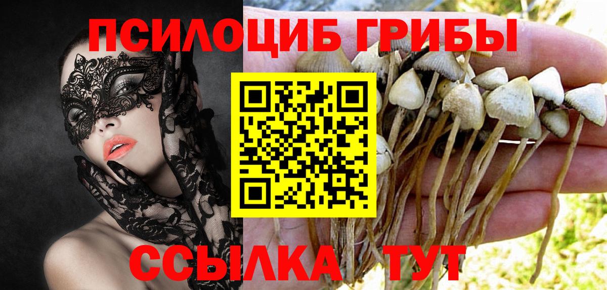 Псилоцибиновые грибы Magic Shrooms Петропавловск-Камчатский