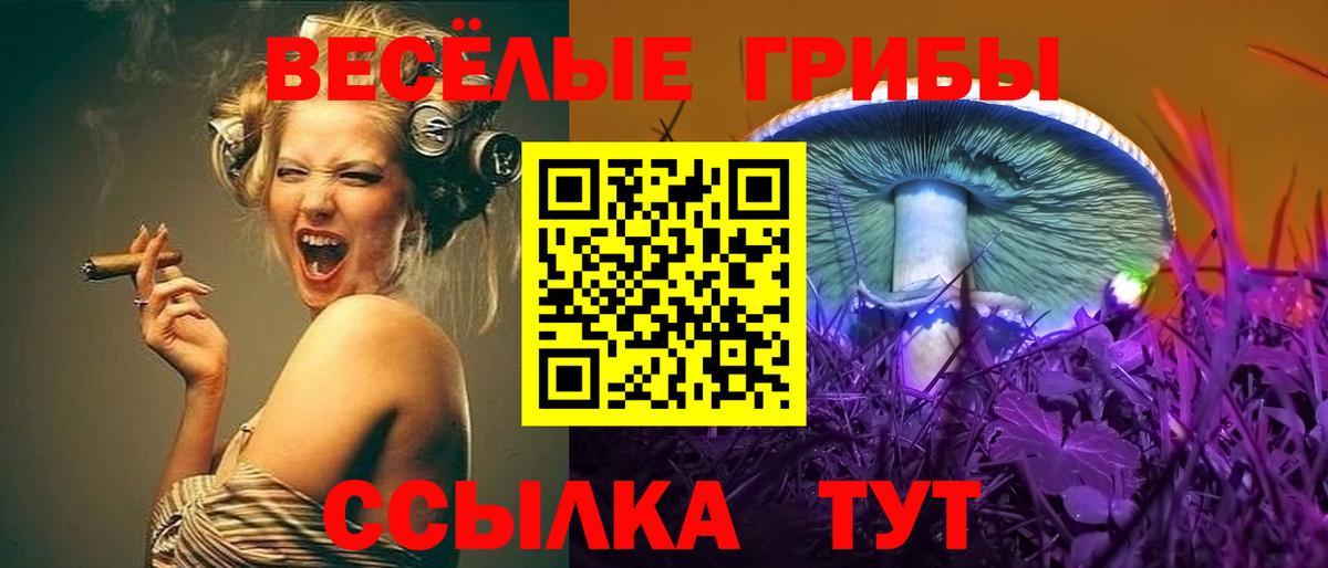 Псилоцибиновые грибы Psilocybine cubensis  Вход с VPN  Петропавловск-Камчатский 
